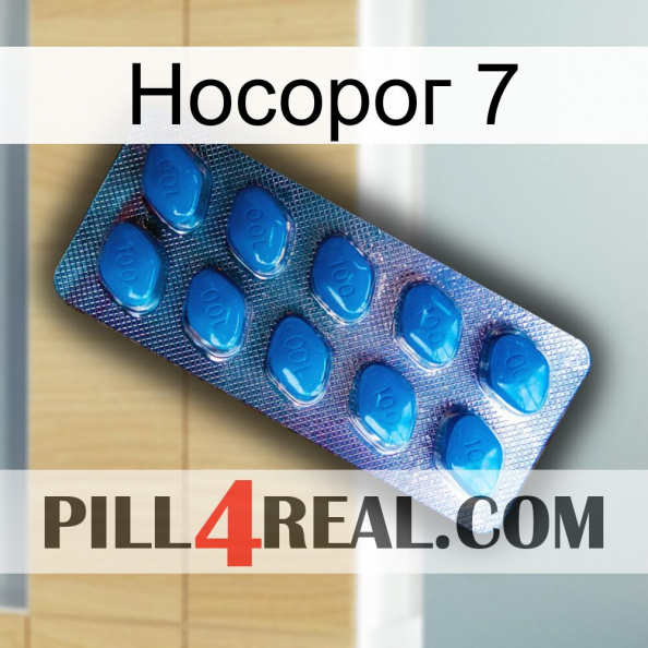 Носорог 7 viagra1.jpg